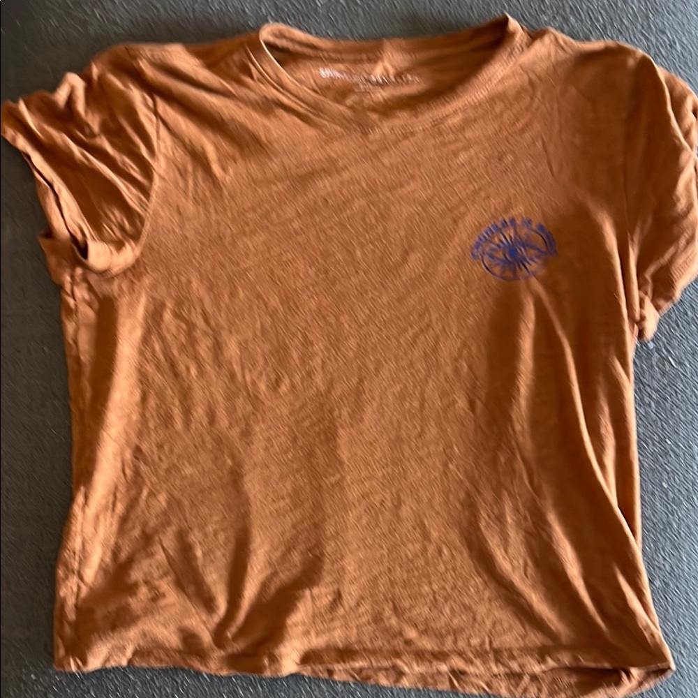 Spiritual Gangster brown cropped tee
